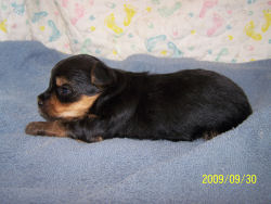 click here to see me grow