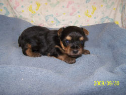 click here to see me grow